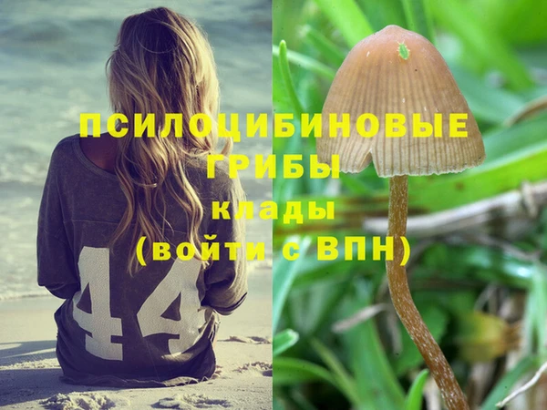 МДПВ Абаза