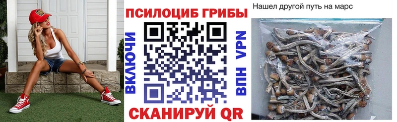 Псилоцибиновые грибы мухоморы Староминская
